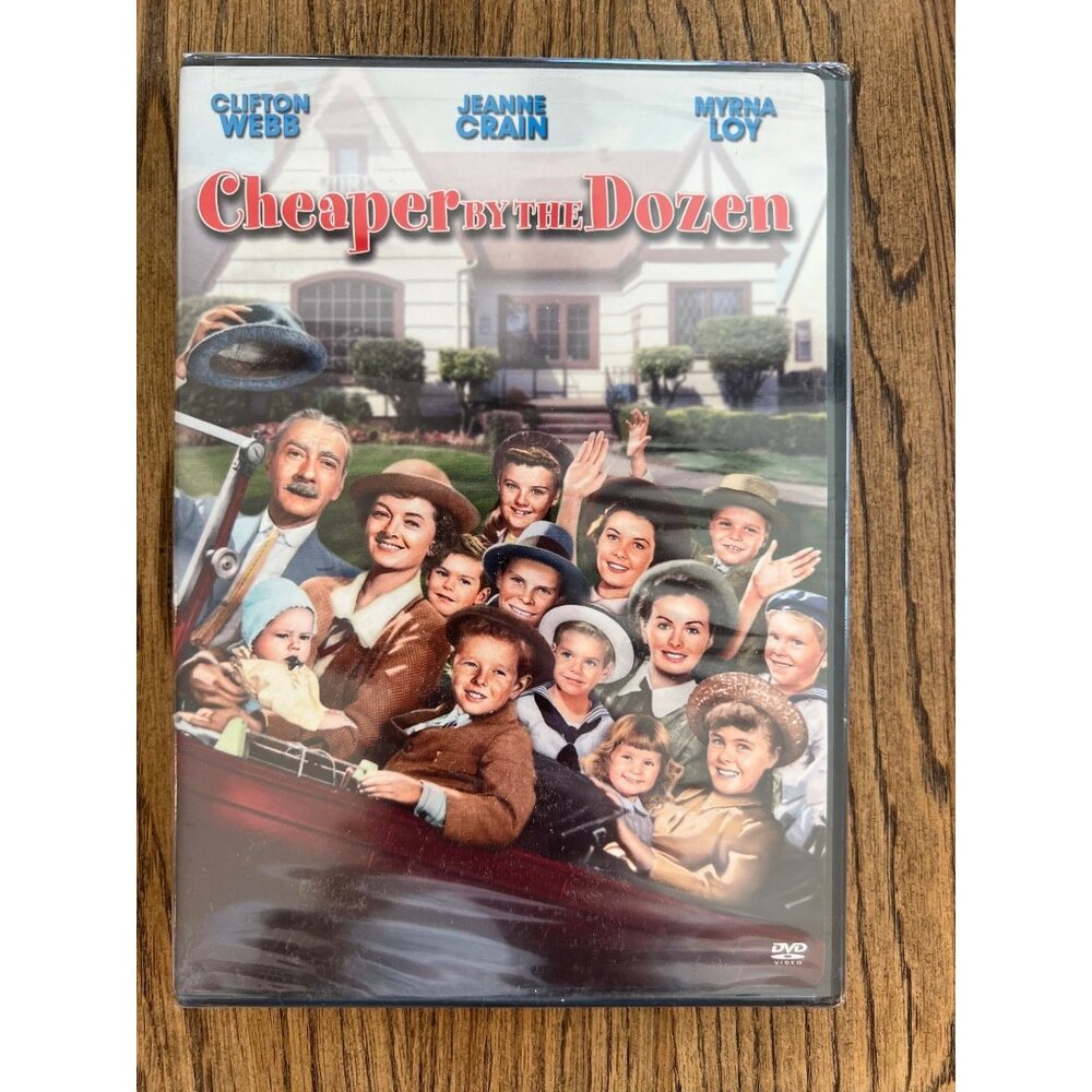 Cheaper By The Dozen DVD Comedy Movie Starring Steve Martin & Bonnie Hunt